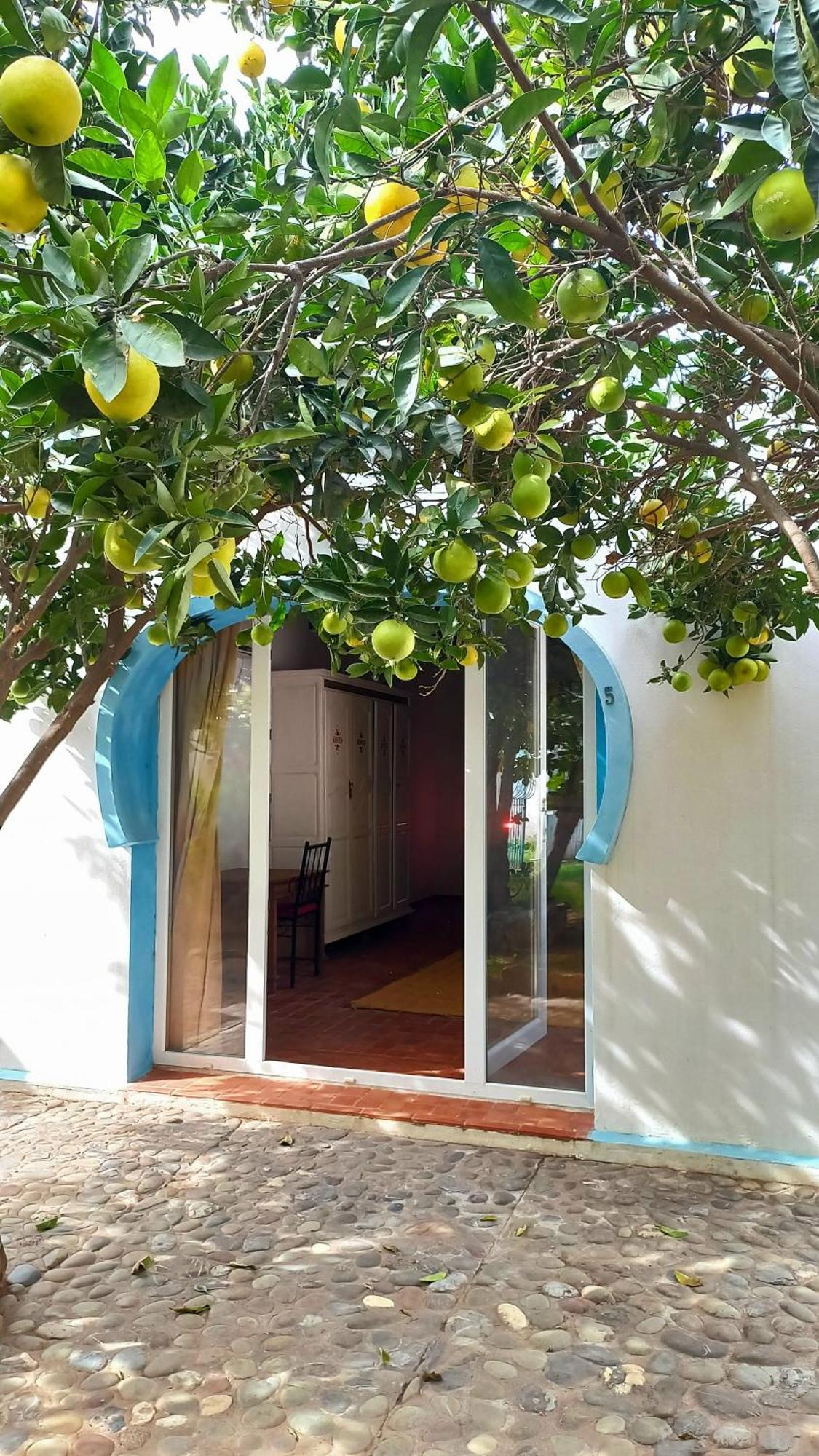 Rayani Maison D'Hotes Chozas Dış mekan fotoğraf